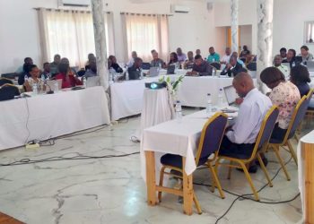 Auscultação sobre receitas para o desenvolvimento das áreas com exploração de recursos naturais