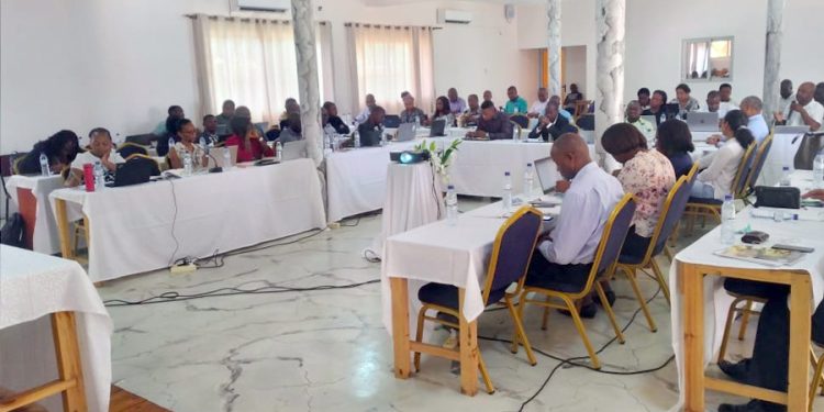 Auscultação sobre receitas para o desenvolvimento das áreas com exploração de recursos naturais