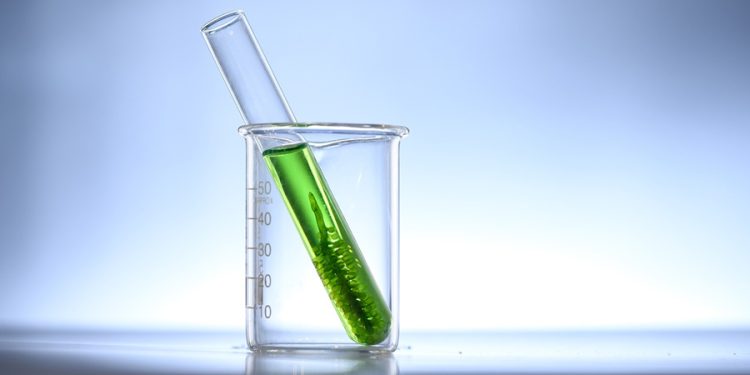 Petrolíferas internacionais manifestam interesse nos biocombustíveis