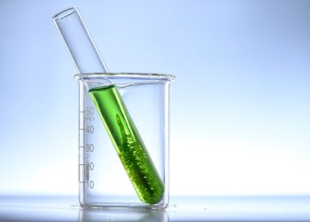 Petrolíferas internacionais manifestam interesse nos biocombustíveis