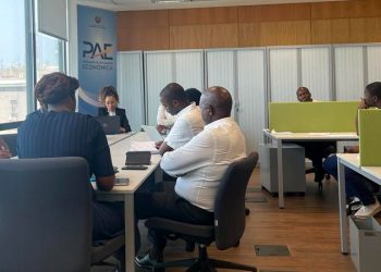 MIC, CEDSIF e PAE definem acções para implementação do eBAU