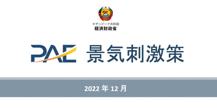 PAE reune-se com Agência de Cooperação Internacional do Japão