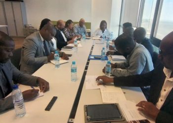 Em curso operacionalização da medida sobre biocombustíveis