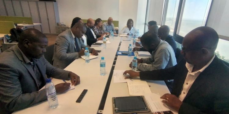 Em curso operacionalização da medida sobre biocombustíveis