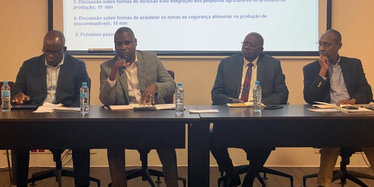 Equipe do PAE realiza segunda reunião multissectorial sobre Biocombustíveis