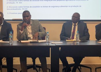 Equipe do PAE realiza segunda reunião multissectorial sobre Biocombustíveis