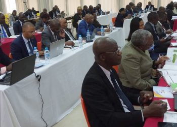 Medidas do PAE na 2a Sessão do Conselho Provincial de Coordenação da Província de Gaza