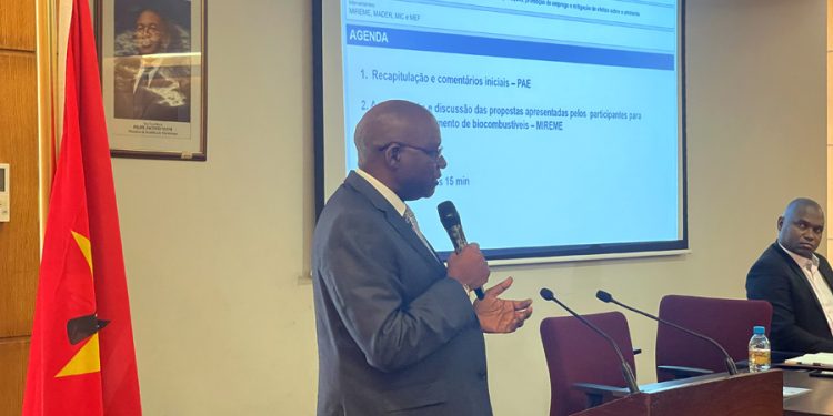 PAE realiza reunião multissectorial de seguimento sobre Biocombustíveis