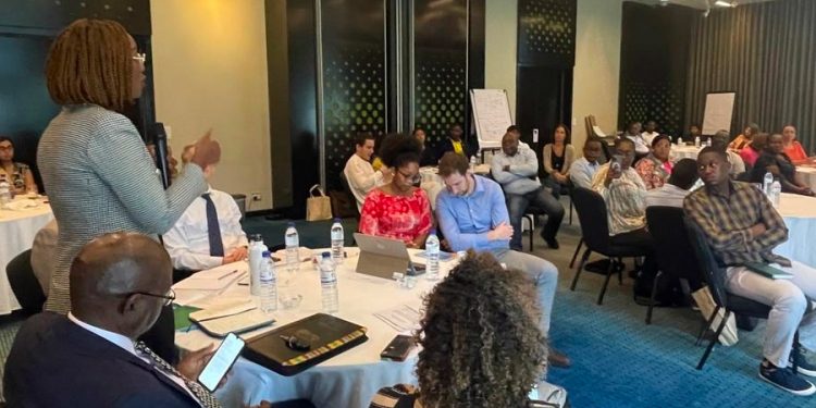 Ponto de situação do PAE apresentado a Embaixada da Irlanda