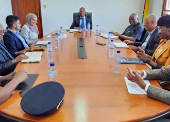 Pagamento online do e-visa na recta final