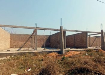 PAE 7 – Visita ao Projeto de 200 Hectares em Incassane